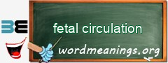 WordMeaning blackboard for fetal circulation